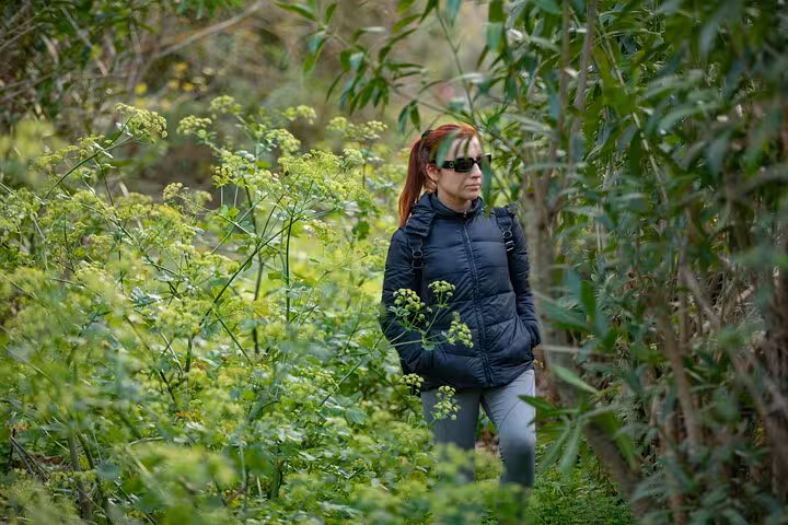 Solo hiker in jacket and backpack walking through dense green foliage on the Ikaria Hike towards Alama Spring