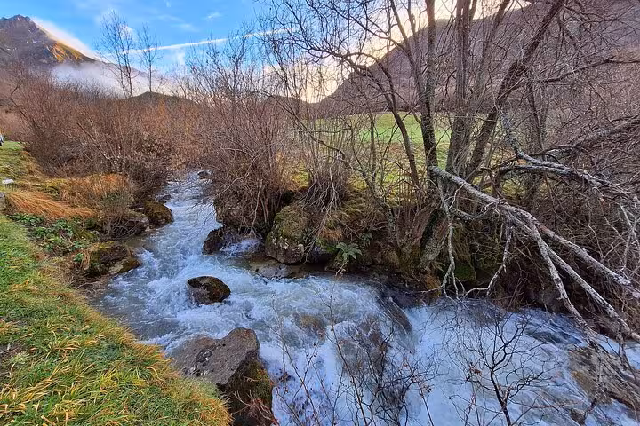 Scenic view of a flowing stream surrounded by bare trees in Somiedo Natural Park, perfect for a guided nature tour.