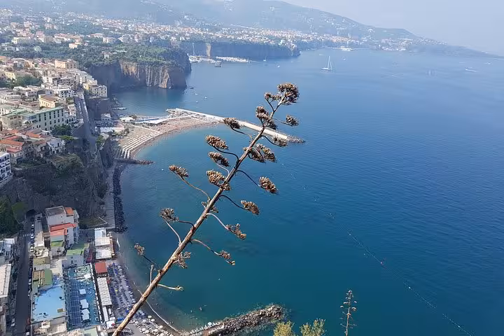 Sorrento coastline viewpoint with cliffside town and marina, on full-day Rome to Amalfi Coast tour