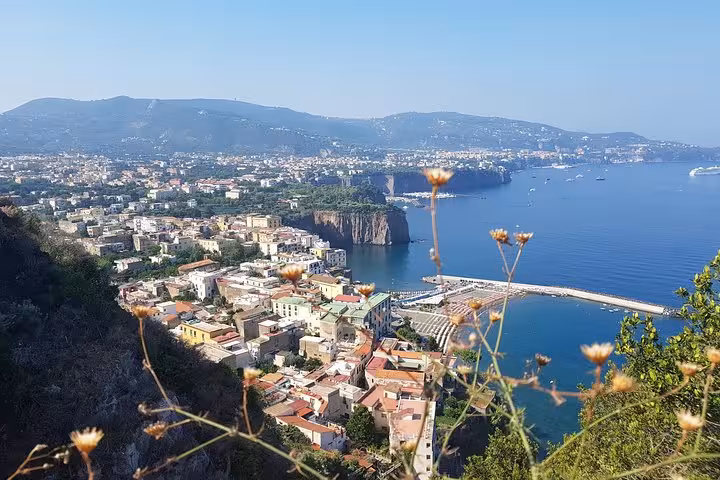 Sorrento coastline panorama and marina from a scenic lookout on Rome day trip to Amalfi, Positano and Ravello