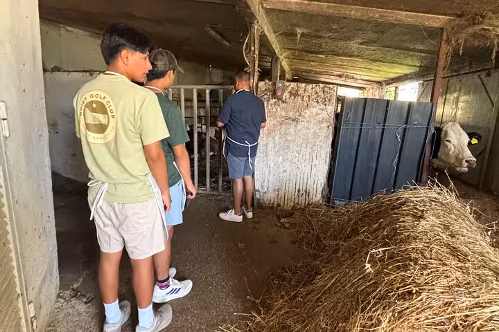 Tour participants explore a rustic barn, engaging in the immersive farm-to-table experience with pizza and cheese making.