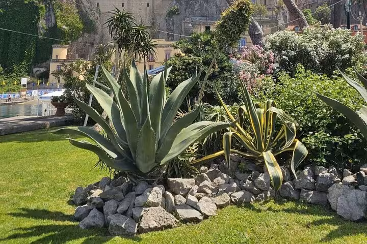 Lush garden in Sorrento featuring agave plants and vibrant greenery, perfect for a guided walking tour experience.