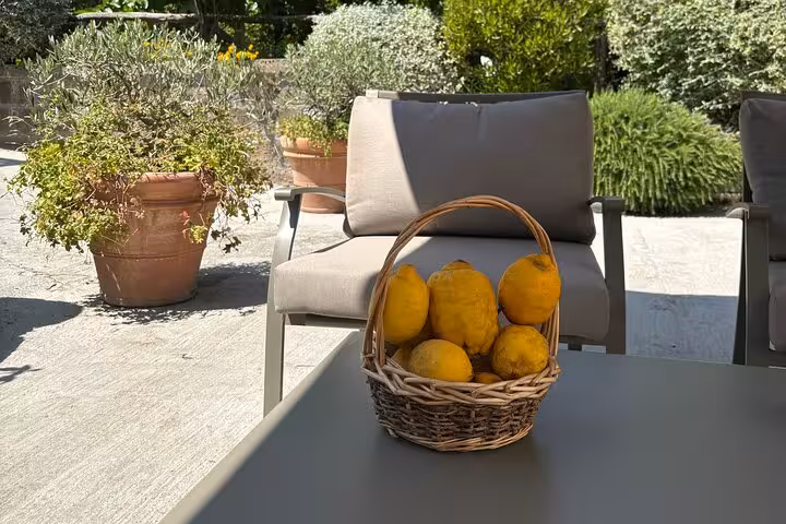 A basket of fresh Sorrento lemons on a patio table, surrounded by lush greenery, perfect for a local tasting tour.