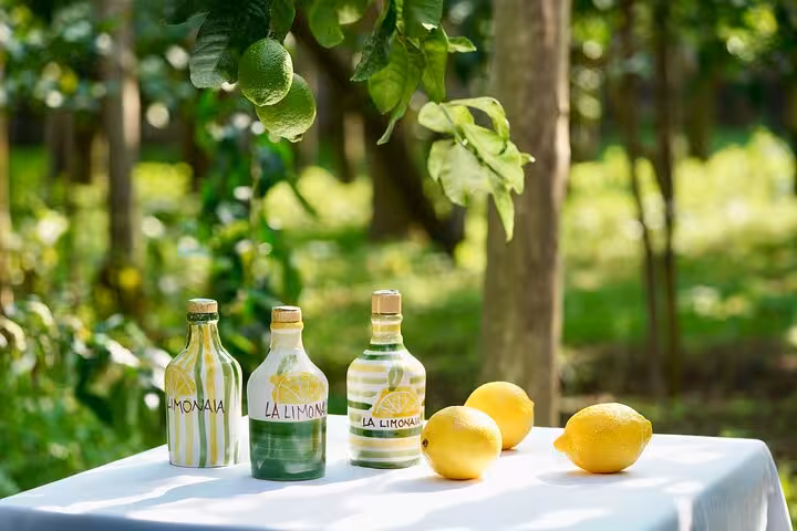 Bottles of limoncello and fresh lemons on a table in a lush Sorrento lemon grove for local tasting tour.