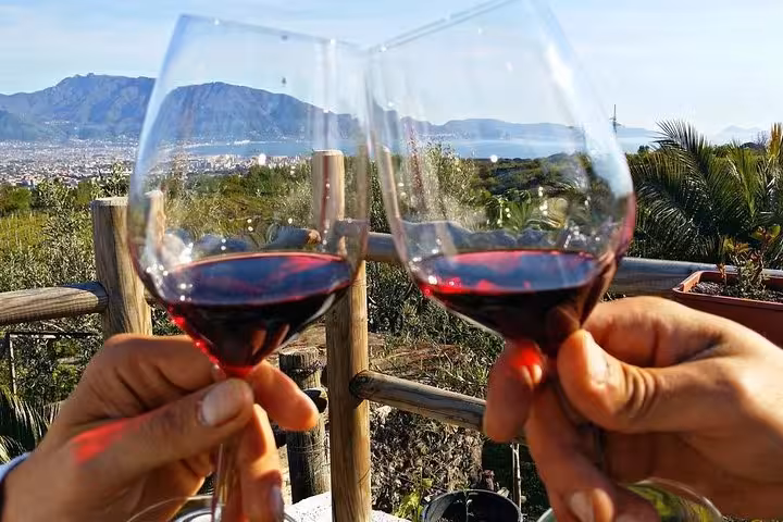 Two glasses of red wine clinking with a stunning view of Sorrento's coastline and lush vineyards in the background.