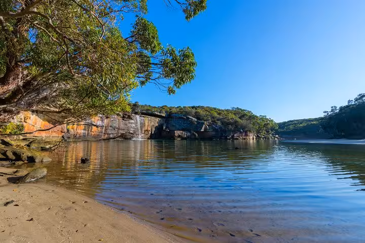 Tranquil beach with clear waters and lush greenery on the South Coast, ideal for a private daily group tour.