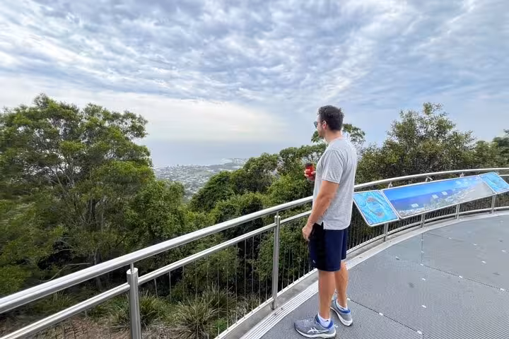 A man enjoying a panoramic view from a lookout point surrounded by lush greenery on the South Coast tour.