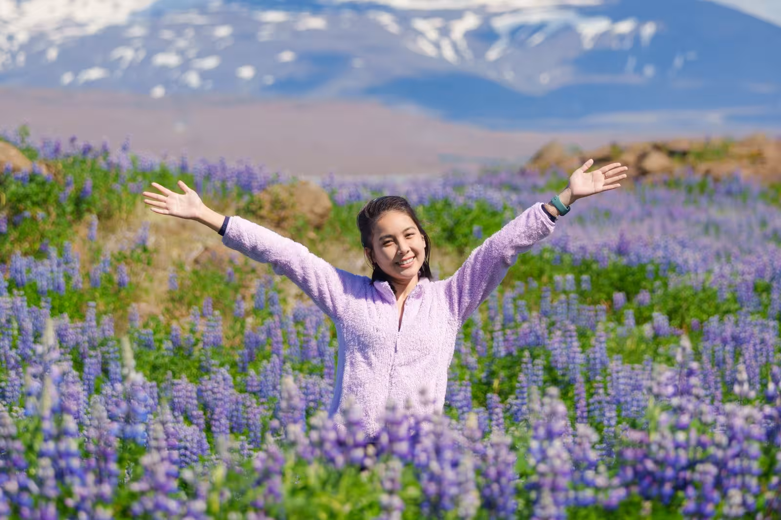 Visitor delighted in a field of purple lupines with snowy mountains in South Iceland's stunning landscape.