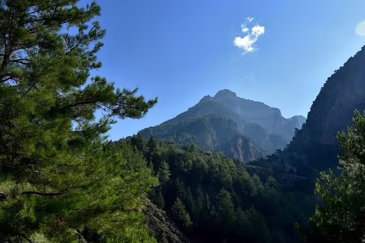 Lush pine forest and majestic mountains under a clear blue sky in Southwest Crete on an 8-day hiking tour.