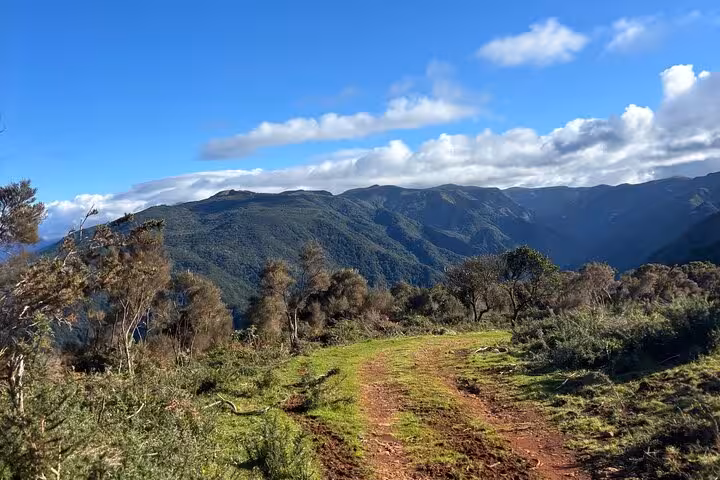 Off-road track through lush southwest Madeira mountains on cultural and geological 4x4 adventure