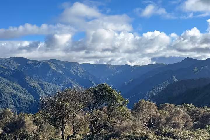 Panoramic southwest Madeira mountain ridges and laurel forest valley, viewpoint on a 4x4 geological tour