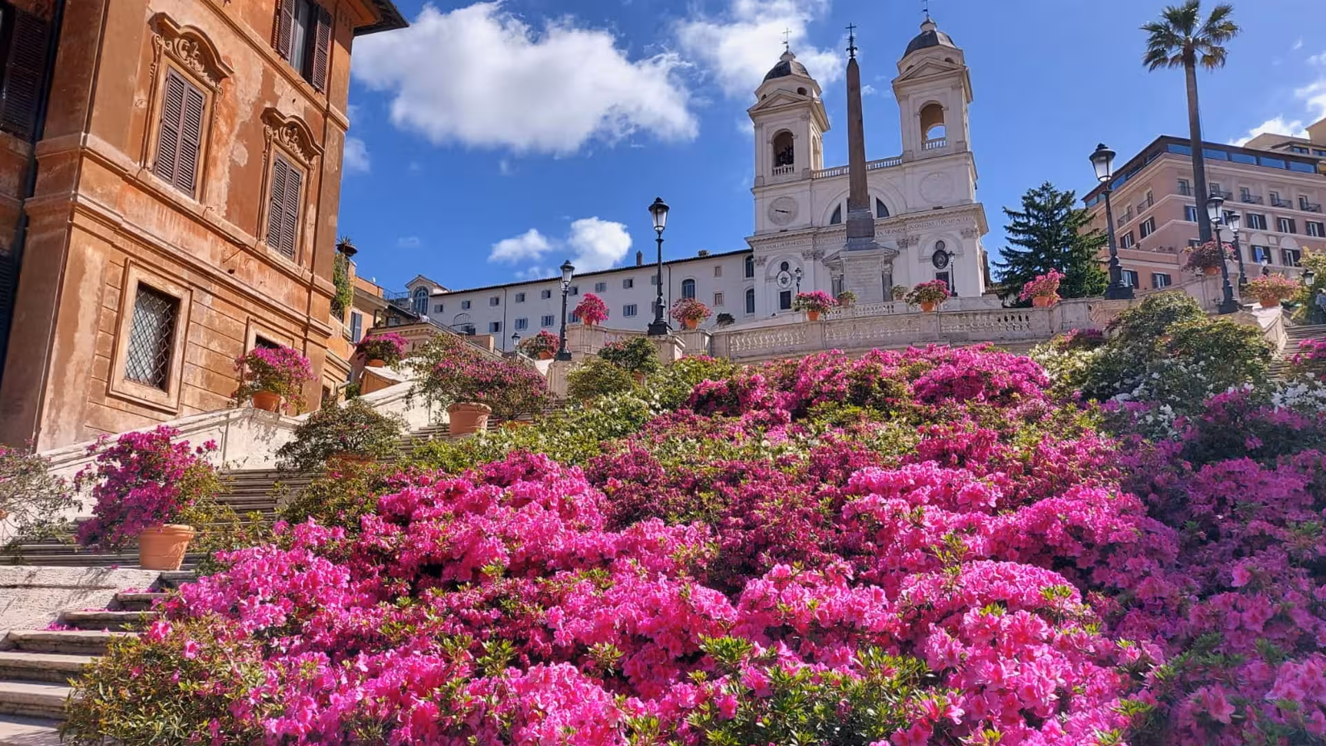 Beautiful springtime bloom on the Spanish Steps in Rome, featured in an exclusive Civitavecchia day tour.