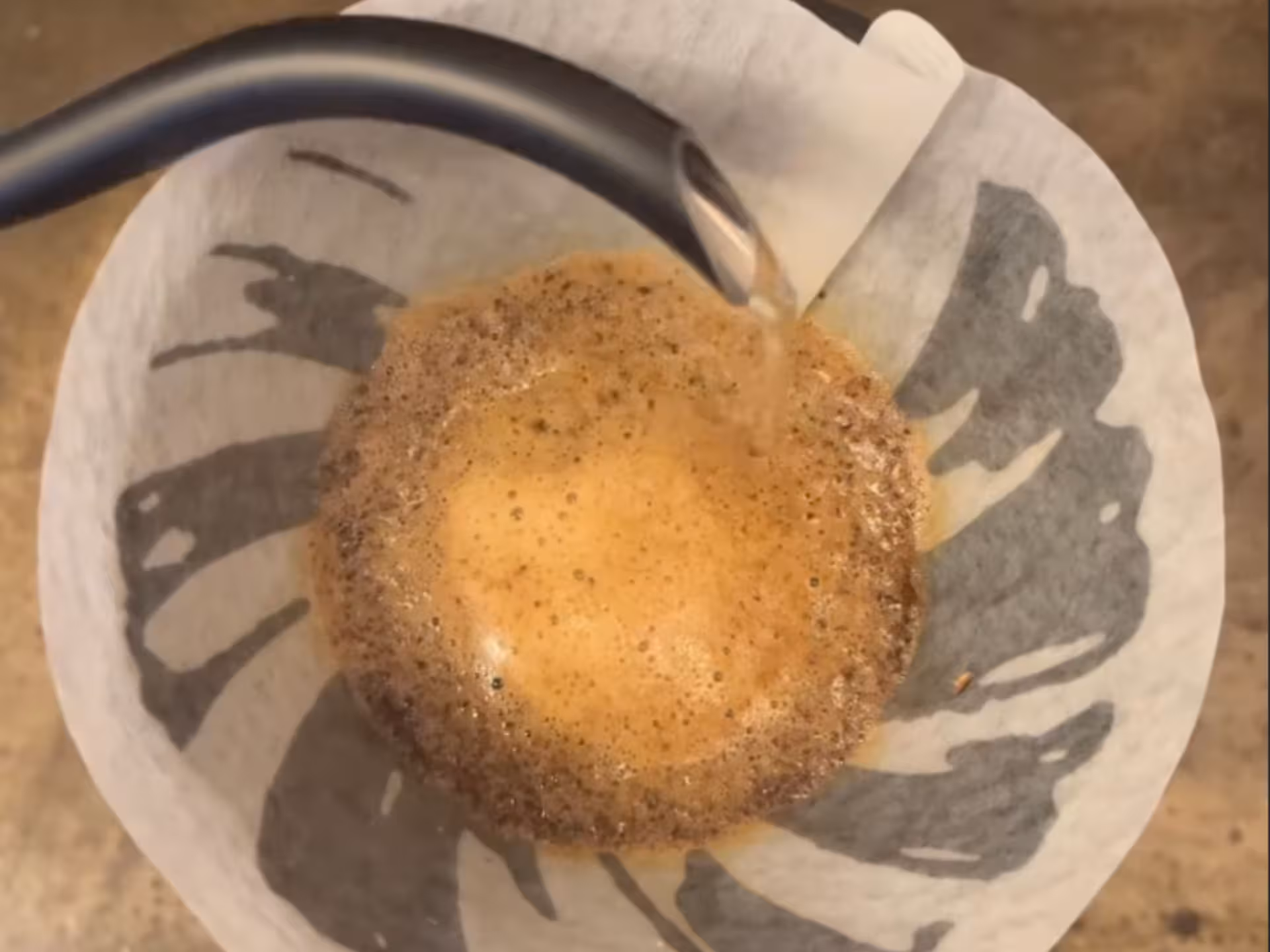 Pour-over coffee brewing during a specialty coffee workshop in Rome.