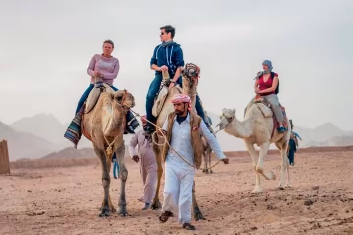 Guided camel ride in Marsa Alam desert with tourists, part of Spider car buggy safari adventure tour