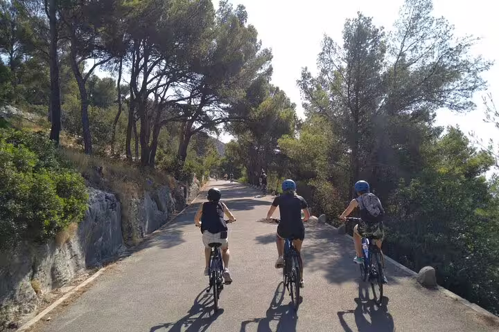 Small group cycling on a pine-lined road during Split City Bike Tour, scenic countryside ride near Split