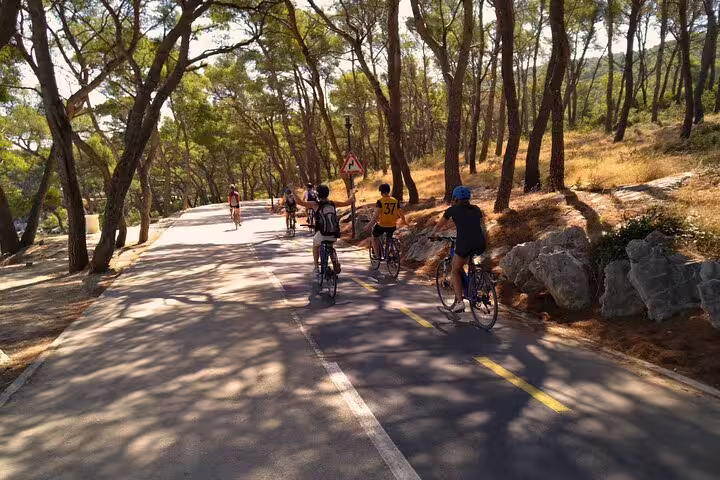 Cyclists riding through a pine forest on a scenic road during the Split City Bike Tour in Croatia