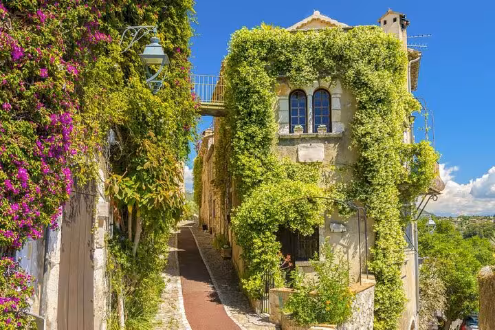 Picturesque lane in St Paul de Vence with ivy-covered stone buildings and vibrant flowers under a clear blue sky.