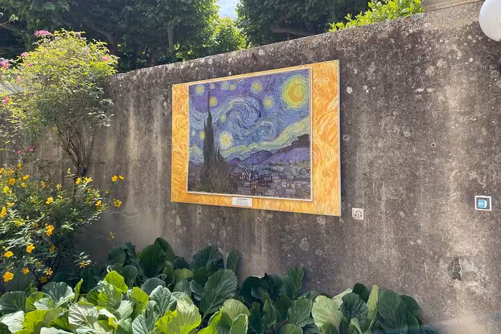 Starry Night Van Gogh artwork display in Saint-Rémy-de-Provence, cultural stop on private day trip itinerary