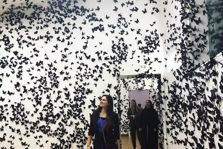 Immersive butterfly wall installation at Stedelijk Museum Amsterdam, contemporary art experience on guided tour