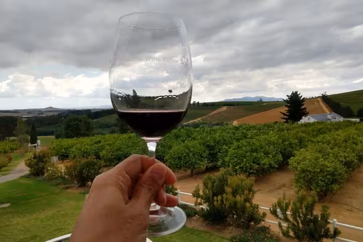 Hand holding a glass of red wine with scenic vineyard view in Stellenbosch on Cape Winelands private tour.