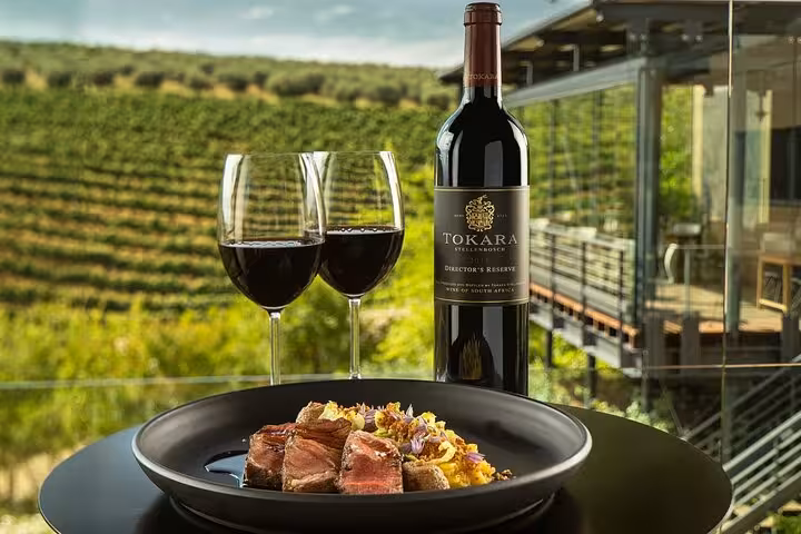 Tokara red wine with gourmet dish and vineyard view, ideal for a Stellenbosch wine tasting private tour.