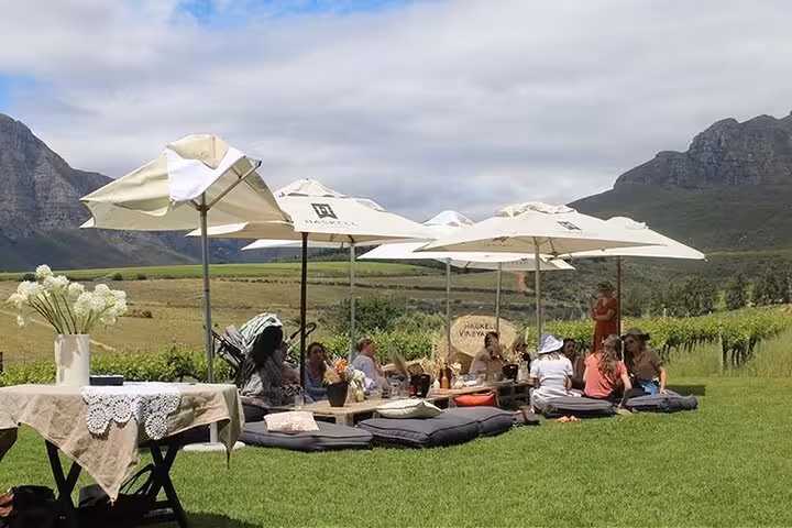 Relaxing outdoor wine tasting at Stellenbosch vineyard with scenic mountain backdrop, perfect for a private full-day tour.