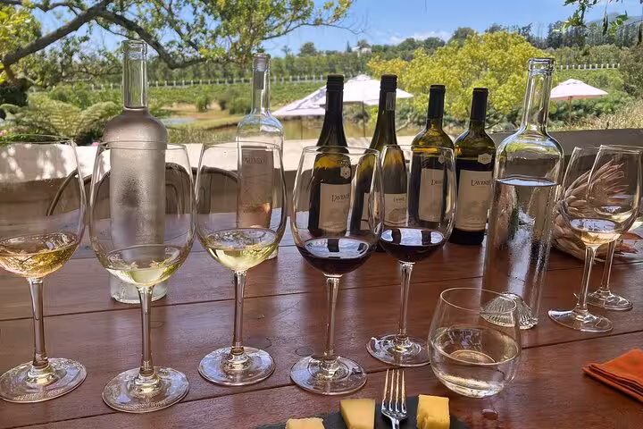Wine tasting setup with an array of red and white wines against scenic Stellenbosch vineyards on the VIP tour.