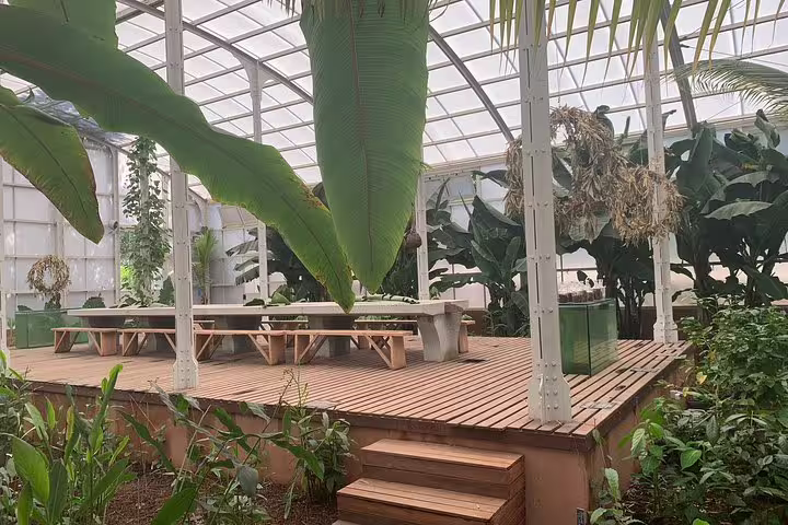 Luxurious greenhouse dining area surrounded by lush greenery on Stellenbosch wine tour.