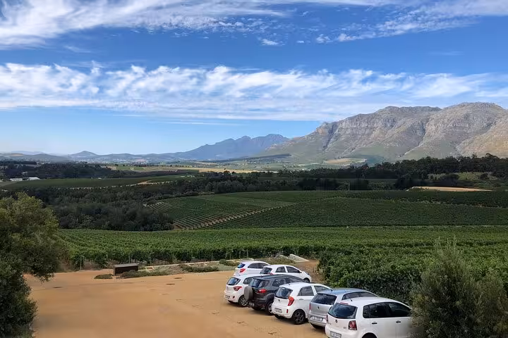 Scenic view of Stellenbosch vineyards with majestic mountains in the background on a sunny day, ideal for wine tours.