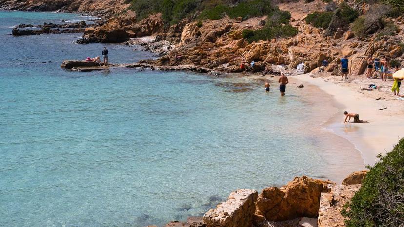 Two white minivans parked by the turquoise waters of Asinara island, highlighting the Stintino tour route.