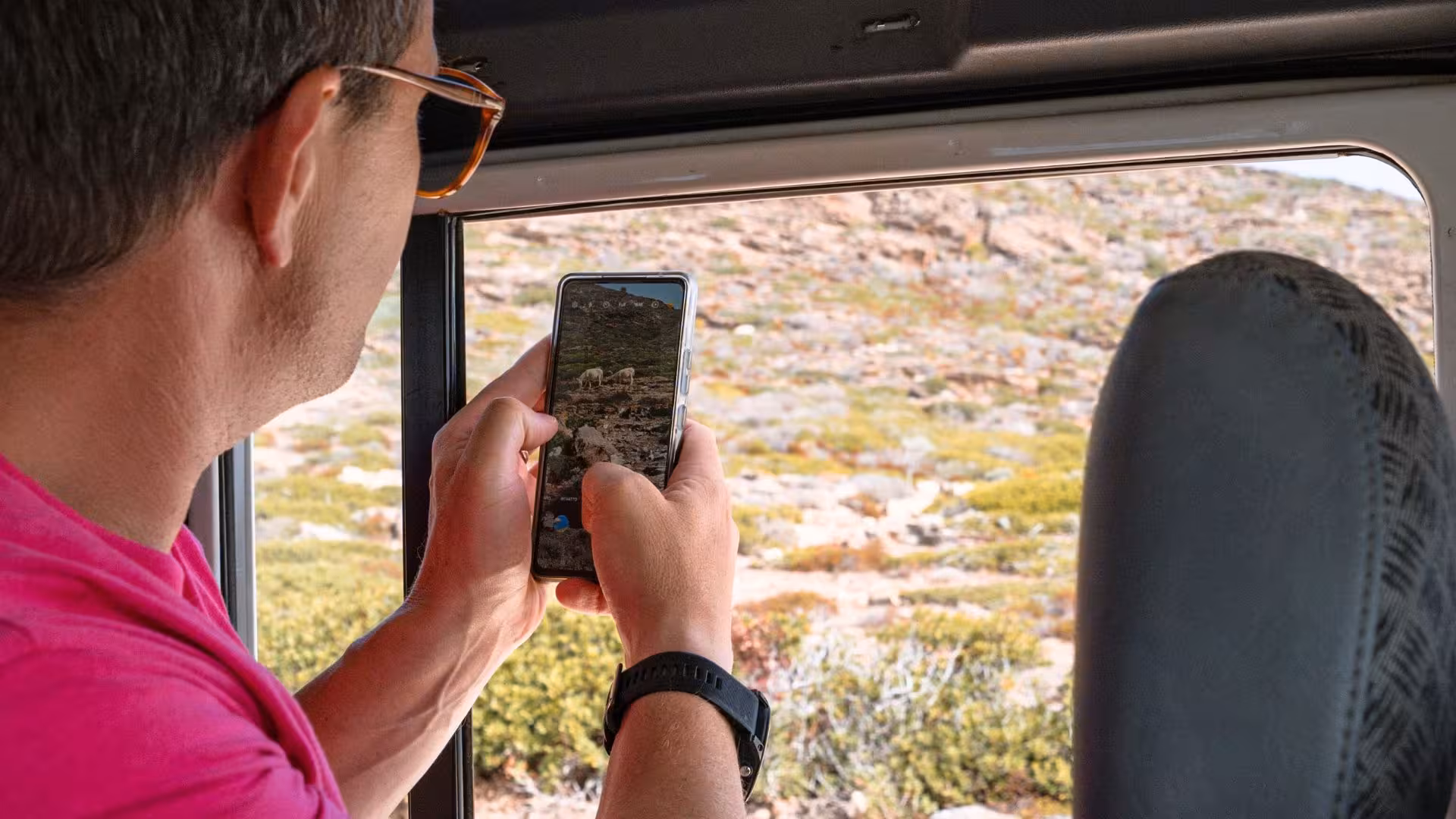 Tourist capturing wildlife through a minivan window on the Asinara tour from Stintino with smartphone.