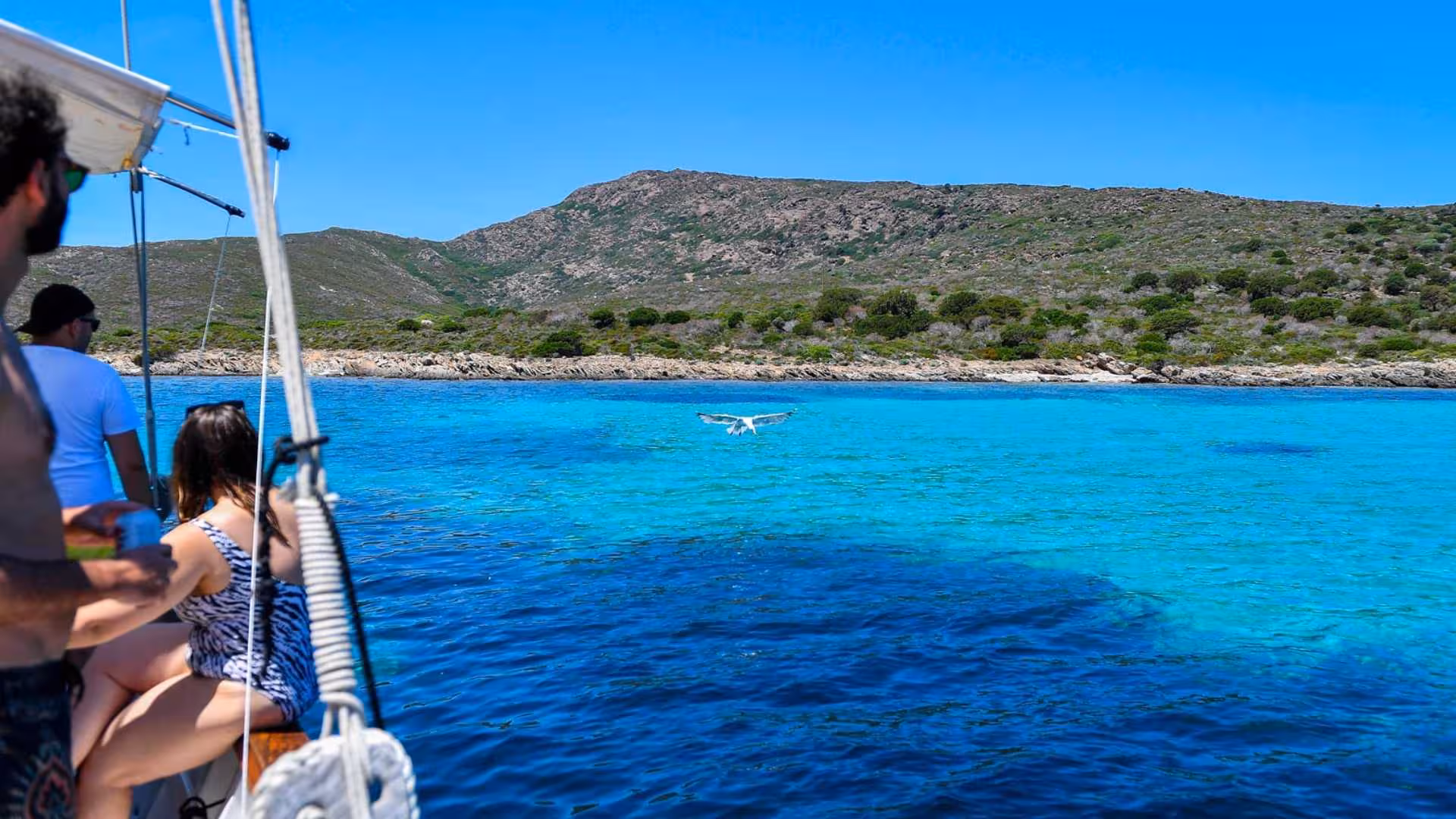 Tourists on a sailboat enjoy the scenic coastline of Asinara Island with a seagull soaring over the azure waters.
