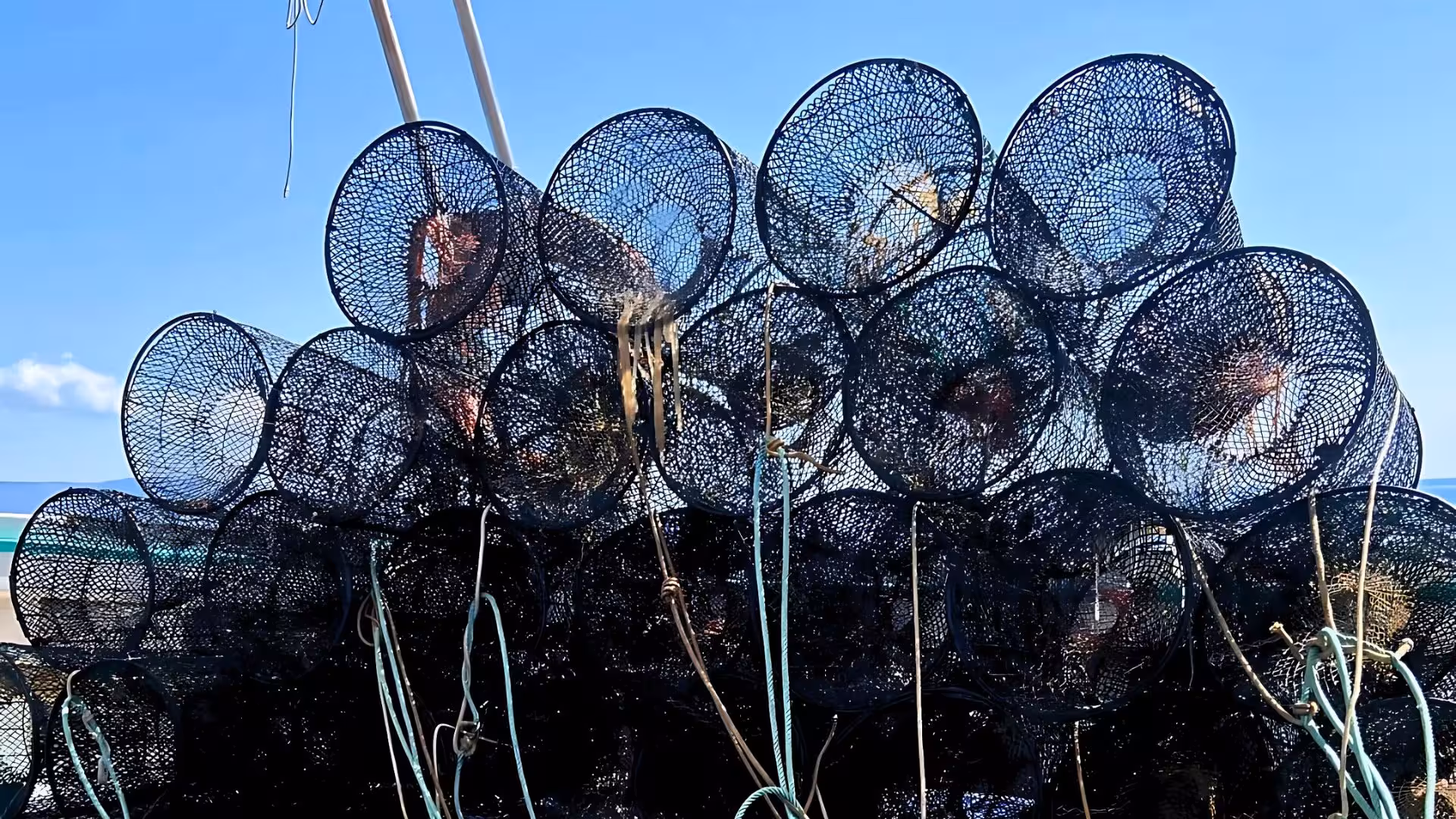 Stacked fishing nets on a boat under a clear blue sky, ready for a tour in Asinara Park.