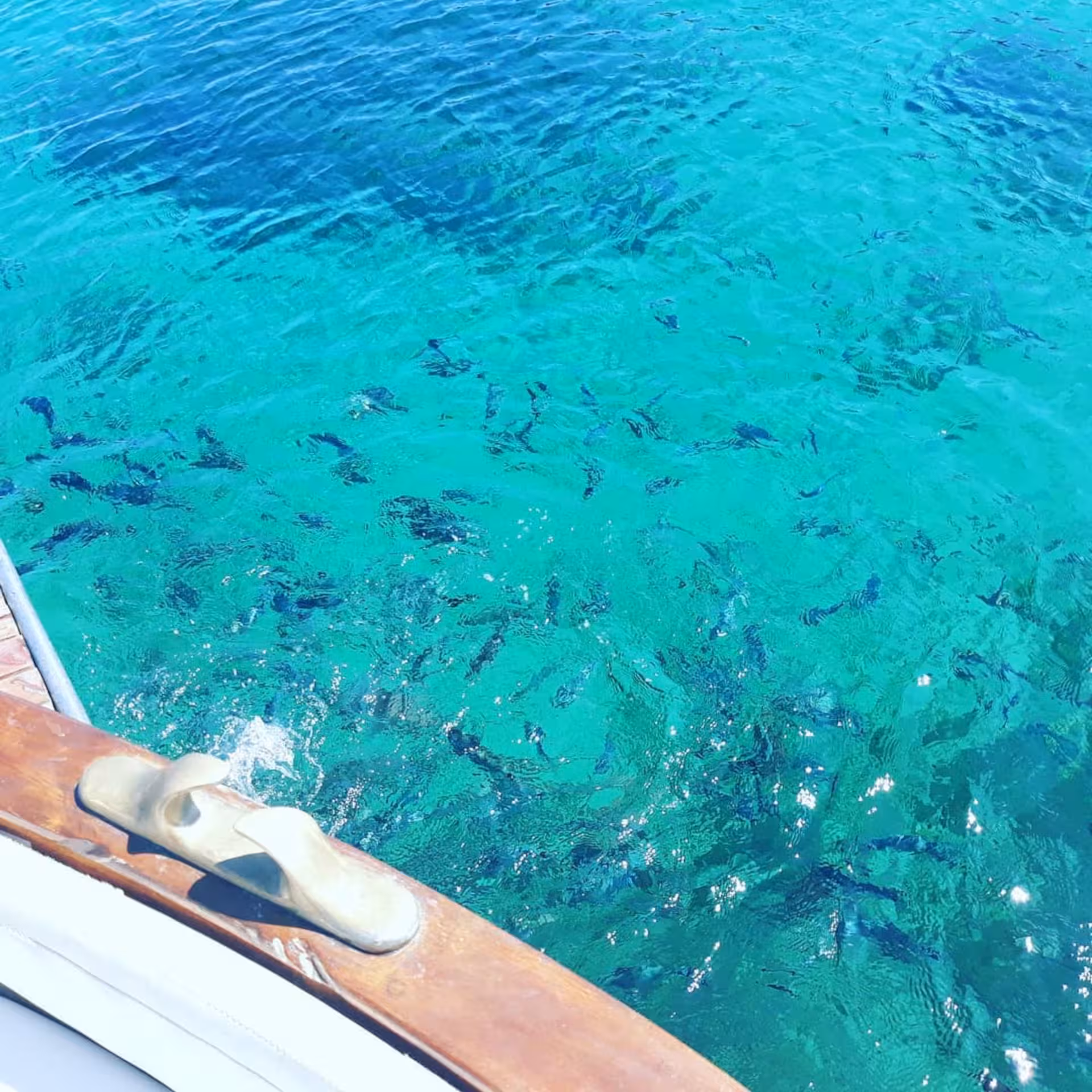 Clear turquoise waters teeming with fish seen from a wooden boat on the Asinara Island excursion.