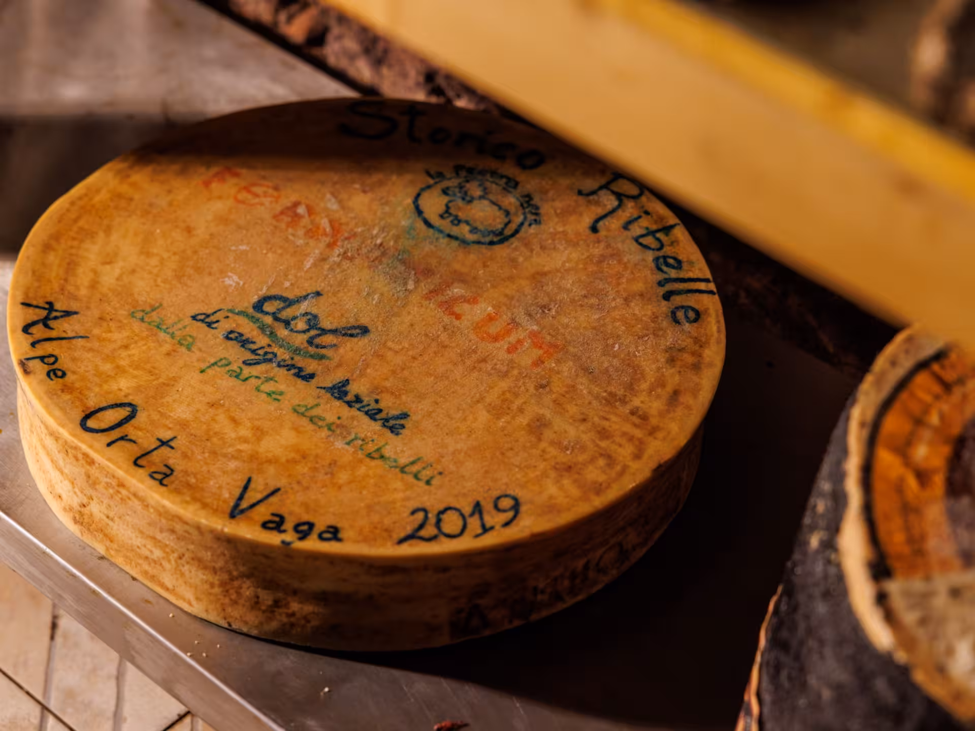 Close-up of Storno Ribelle cheese wheel from 2019, emphasizing artisanal quality for a Rome food and wine tour.