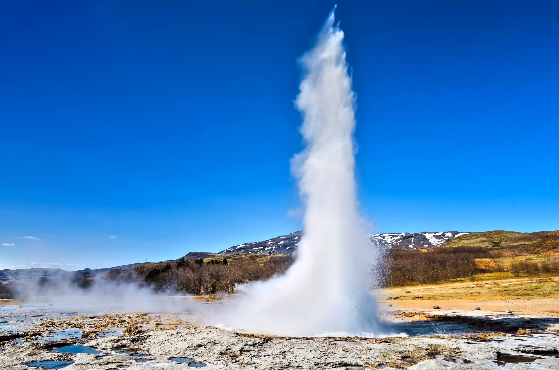 Spectacular eruption of Strokkur geyser under clear blue skies on Private Winter Golden Circle Tour.