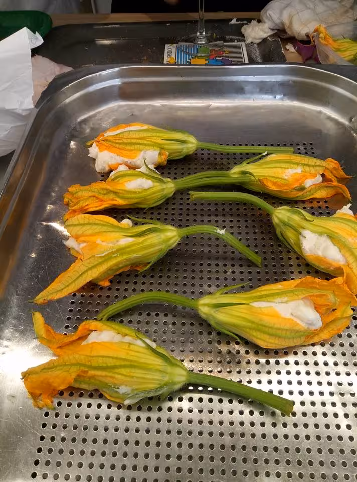 Stuffed zucchini blossoms with fresh ricotta on tray, prepared in a South of France master chef cooking class