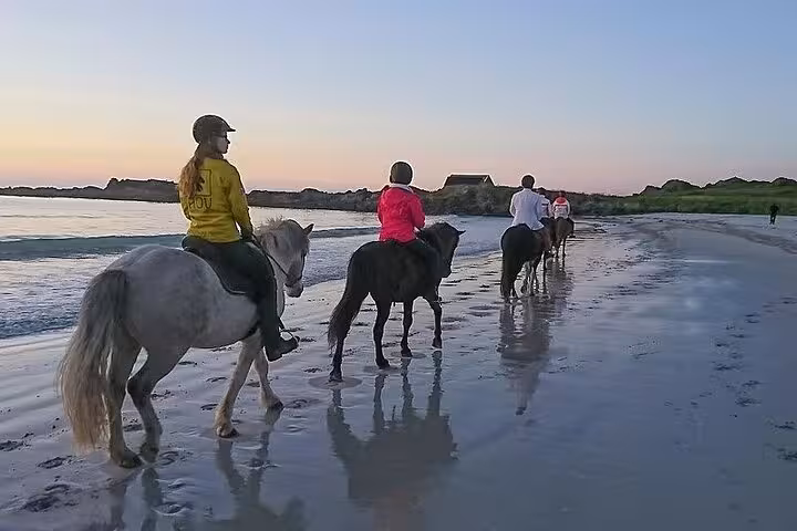 Group sunrise horse riding on Marsa Alam beach, riders trekking along shoreline on guided 3-hour tour
