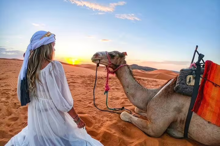 Sunset camel in Erg Chebbi dunes with traveler, camel trek on 3-day desert tour from Fes to Marrakech