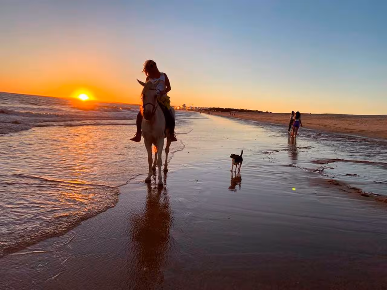 A rider and dog walk along the beach at sunset, capturing the essence of a memorable horseback tour.