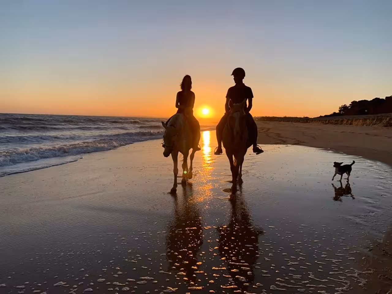 Two riders and a dog stroll along the shoreline at sunset, ideal for a picturesque horseback adventure.