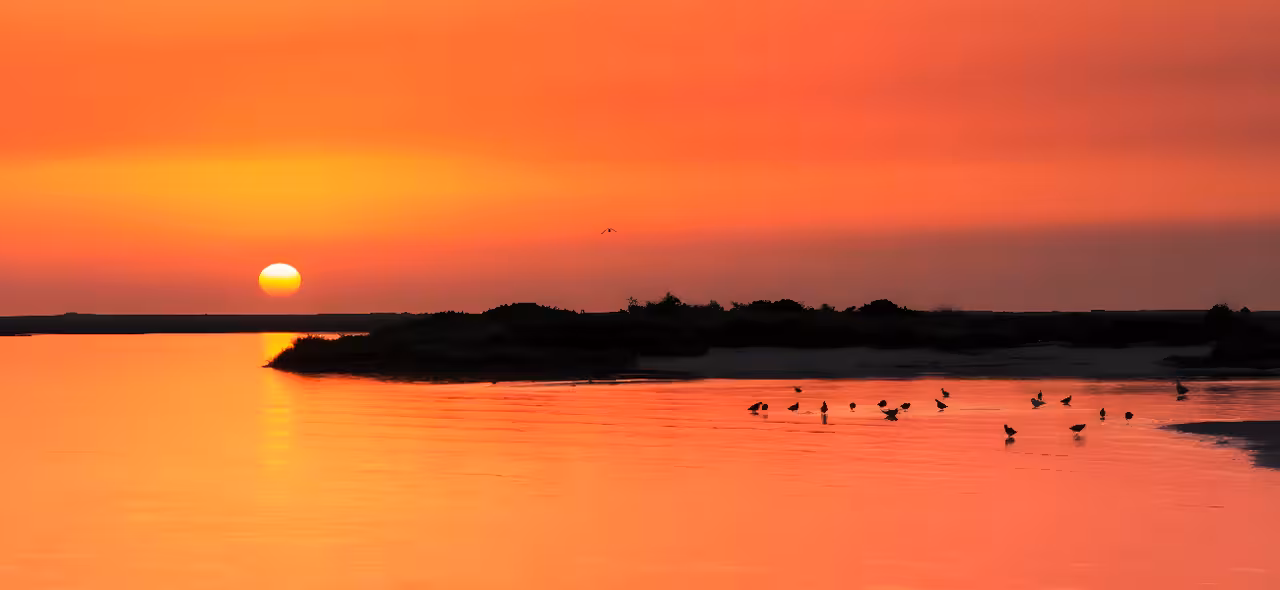 Vibrant orange sunset over a tranquil lagoon with birds on the water, scenic stop on a sunset tour cruise