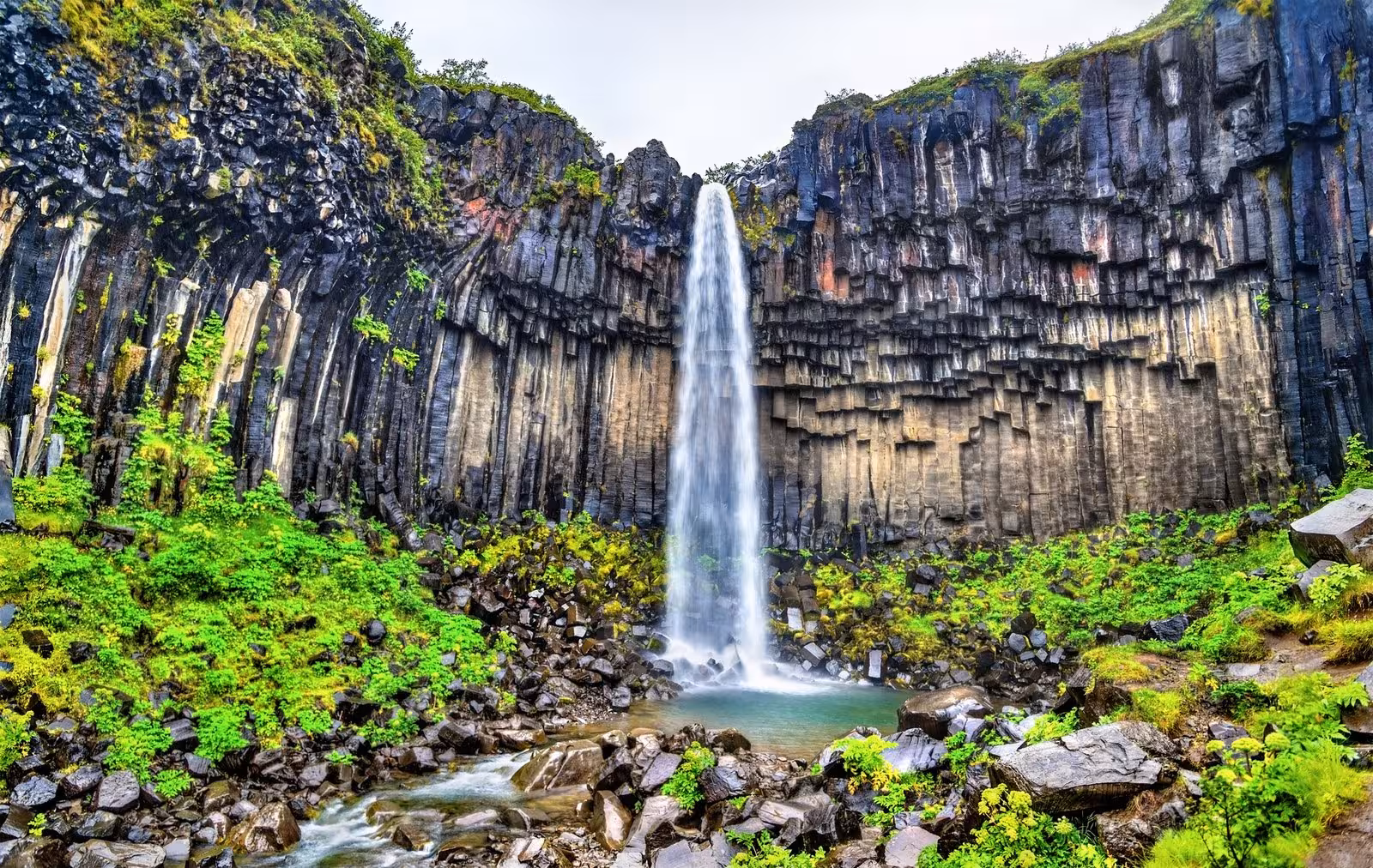 Stunning Svartifoss waterfall cascading over basalt columns in South Iceland's lush landscape, ideal for self-drive tours.