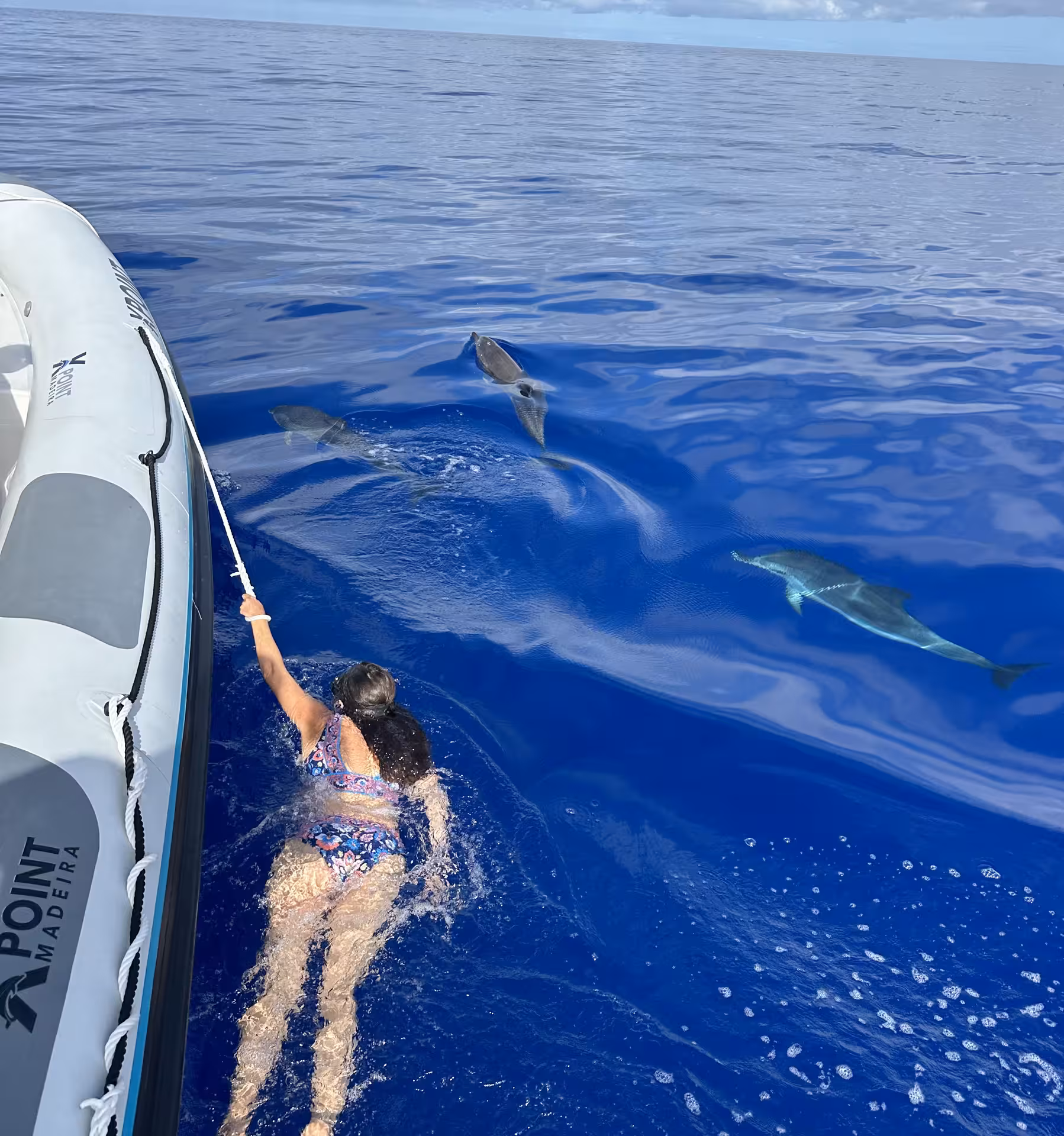 A person swims alongside dolphins in clear blue waters, holding onto a RIB boat for an unforgettable experience.