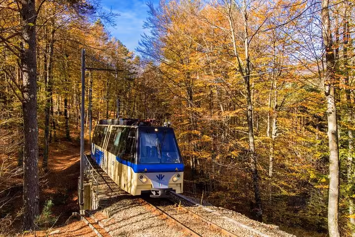 Swiss train traversing vibrant autumn forest on scenic express tour for train enthusiasts.