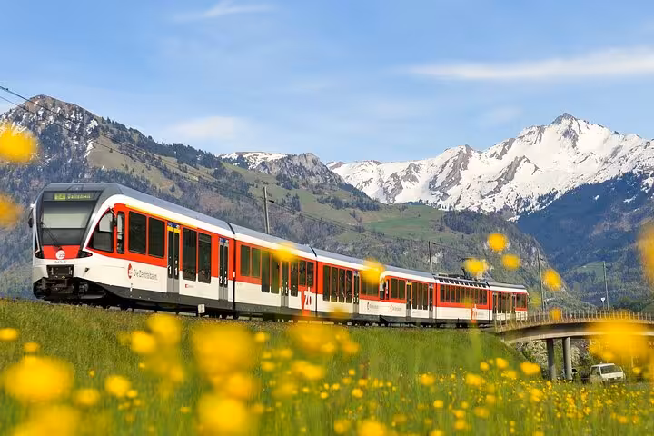 Swiss train passing through vibrant yellow meadows with snow-capped mountains on a scenic express journey.