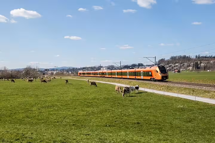 Swiss orange train passing through scenic countryside with grazing cows, perfect for train enthusiasts.