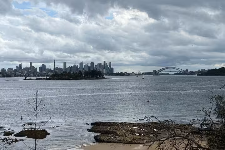 Scenic view of Sydney Harbour with skyline and iconic bridge, perfect for a private tour offering stunning vistas.