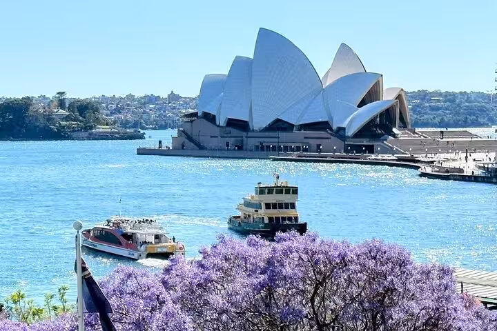 Sydney Opera House with vibrant jacaranda blooms and ferries in the harbor on a sunny day.