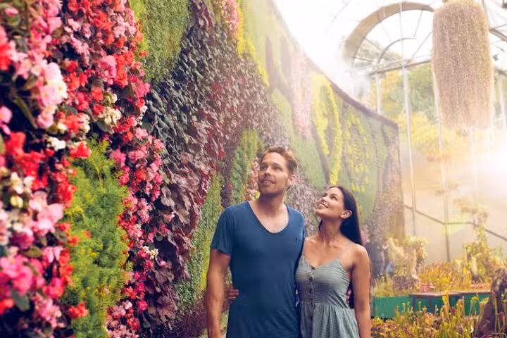 Couple enjoying lush greenery and vibrant blooms at a botanical garden during Sydney Private Tour experience.
